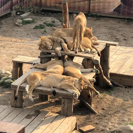 Wild Park