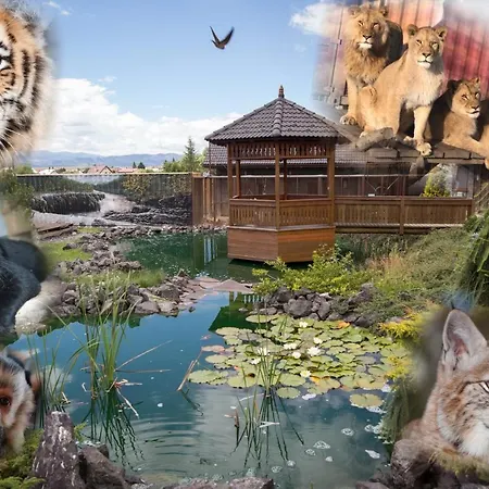Pensionat Wild Park *